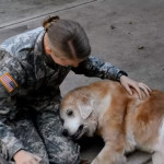 La reacción de la mascota de un soldado cuando éste regresa a casa