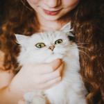 Lo que debes saber sobre cargar a tu gato