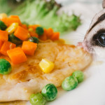 El Petauro del Azúcar