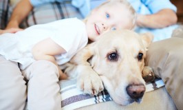 5 mascotas para niños
