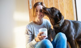 ¿Por qué mi perro me sigue a todas partes?