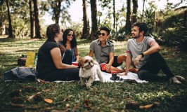 Alimentos que debes evitar dar a tu mascota