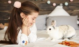 Esperanza de vida de las mascotas más comunes