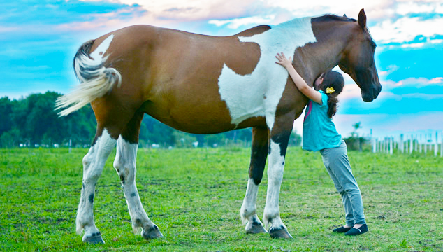 Lo qué debes saber de la terapia con caballos para niños y adultos
