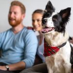 5 citas famosas sobre animales