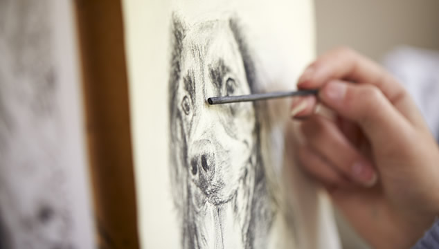 Dibujando perro