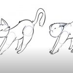 ¿Cómo dibujar un gato en varias poses?
