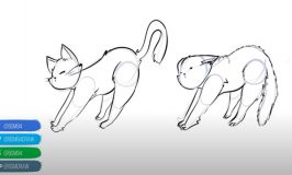 ¿Cómo dibujar un gato en varias poses?