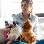 Gato o perro, ¿cuál es para ti?