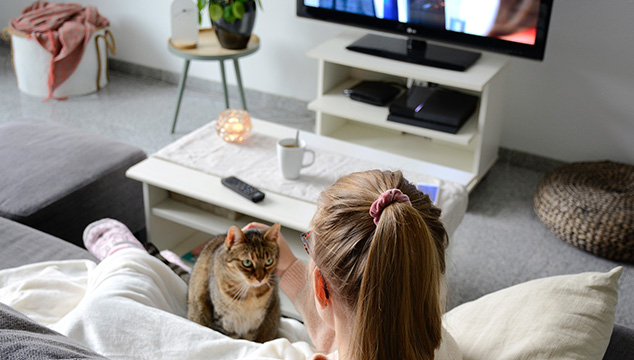 gato-television