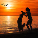 ¿Dónde dejo a mi mascota cuando me voy de vacaciones?