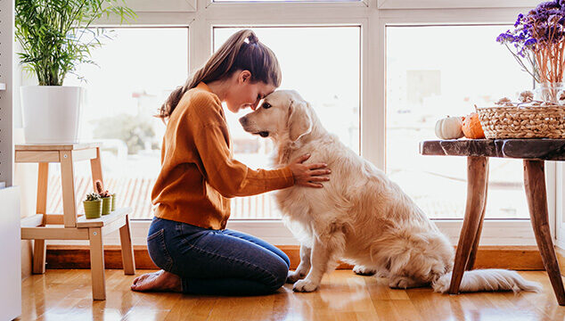 La mejor raza de perros para dueños de primera vez