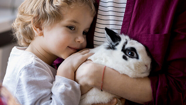 ¿Por qué son los conejos un buen animal de compañía?