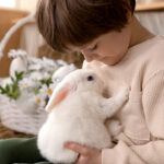 Datos que debes saber antes de tener un conejo