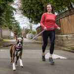 Consejos para correr con tu perro