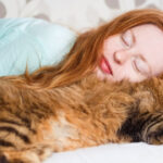 ¿Por qué a mi gato le gusta dormir conmigo?