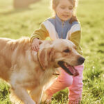 3 razas de perros para familias con niños pequeños