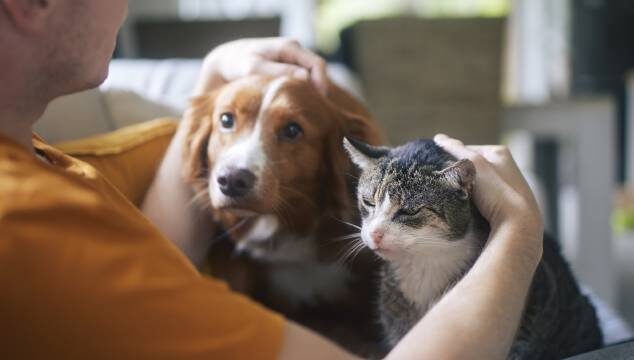 Hermosas frases de famosos sobre animales