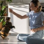 Actividades para hacer con tu gato