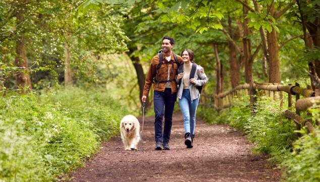 Actividades que puedes hacer con tu perro