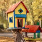 Beneficios de construir una casita para aves