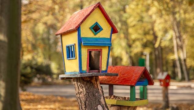 Beneficios de construir una casita para aves