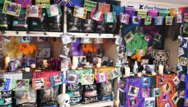 Altar para honrar a nuestros animales de compañía