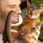 Citas famosas sobre gatos