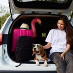 Viajar por carretera con tu perro