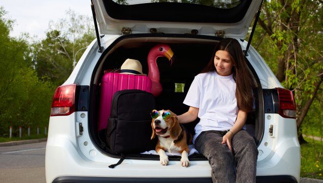 Viajar por carretera con tu perro