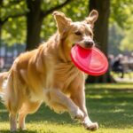 La importancia del ejercicio para tu perro