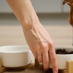 ¿Cómo elegir el alimento adecuado según su edad o condición?