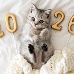 ¡Feliz 2026! Que sea un año lleno de salud, amor y compañía