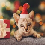 Gracias por un año de confianza y cariño