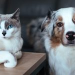 Comienza el 2026 con salud: agenda su revisión anual