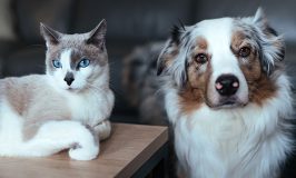 Comienza el 2026 con salud: agenda su revisión anual