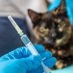 Vacunas: la primera defensa para una vida larga y sana