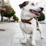 Uñas largas, problemas seguros: la importancia del corte regular