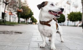 Uñas largas, problemas seguros: la importancia del corte regular